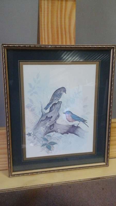 AN AWESOME FRAMED PRINT OF TWO BIRDS IN A TREE  BY AMASSA.