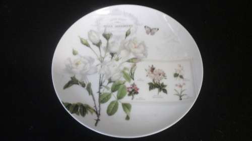 BEAUTIFUL DORA PAPIS EASY LIFE FINE BONE CHINA SIDE PLATE. STUNNING PIECE!