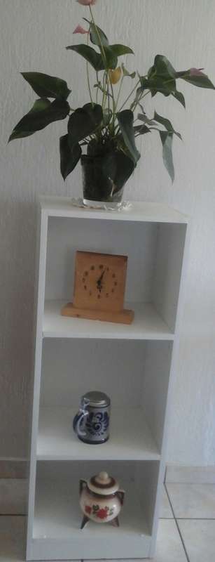 TERRIFIC AND FUNCTIONAL WOODEN SHELF. GREAT FOR BOOKS AND OTHER ACCESSORIES!