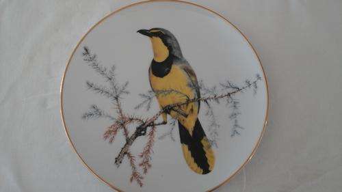 HIGHLY COLLECTIBLE BIRD OF SOUTHERN AFRICA LIMITED EDITION  PLATE.  BOKMAKIERIE 1983