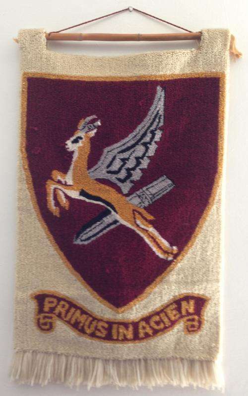 SA Airforce Squadron 12 Tapestry