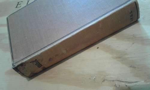 German Bible 1955