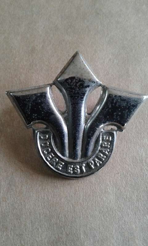 SA Army Corps Professional Officers cap badge - chrome