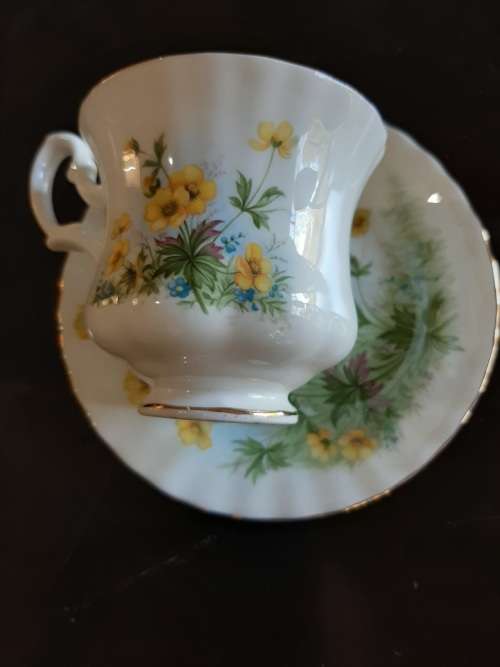 Royal Albert cup & saucer