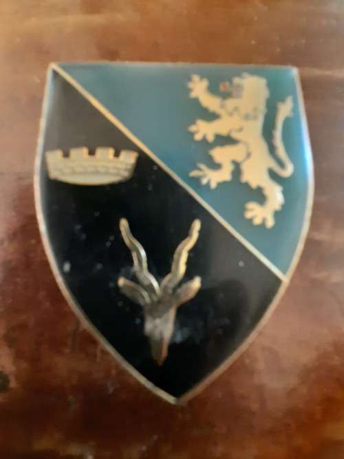 91 Armoured Car Regt Flash