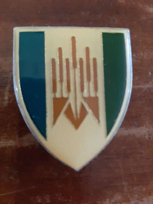 101 Battalion Flash