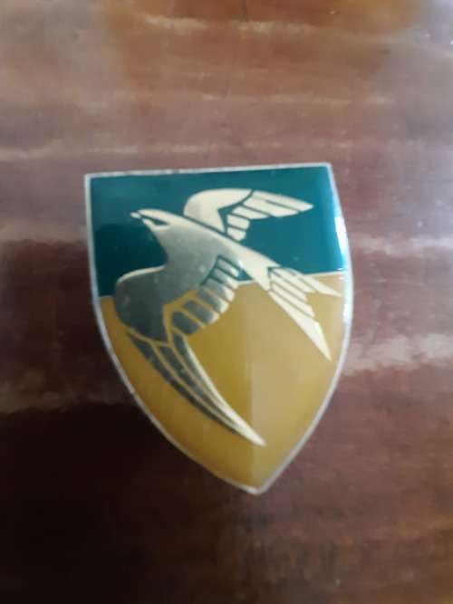 1 S.W.A. Squadron Flash