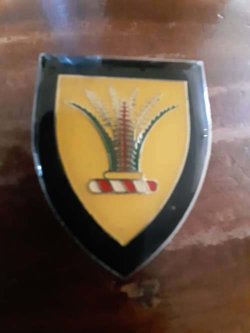 S.W.A. Sector 10 HQ Flash