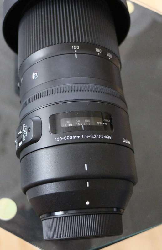 Sigma for Nikon 150-600 Contempary lens, photos show exact item on sale, beautiful lens very sharp