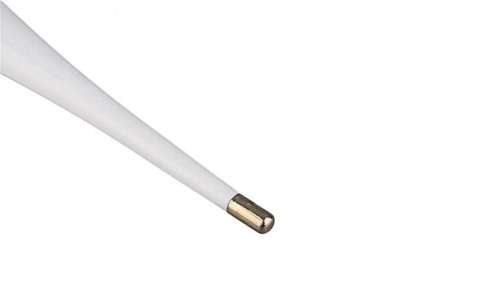 Digital thermometer