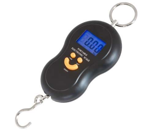 50kg Portable Electronic Scale