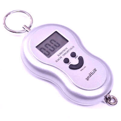 SCALE TO WEIGH ALMOST ANYTHING (WEIGH THAT GREAT CATCH)