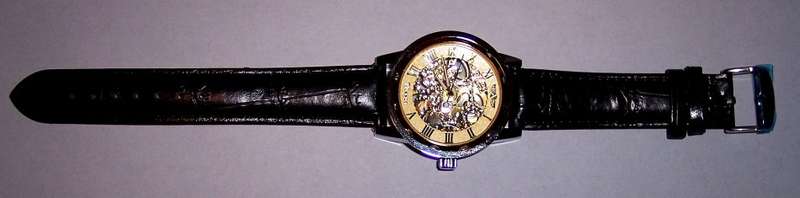 FORSINING T-WINNER 614 Skeleton Mechanical Watch. Silver/Gold Face