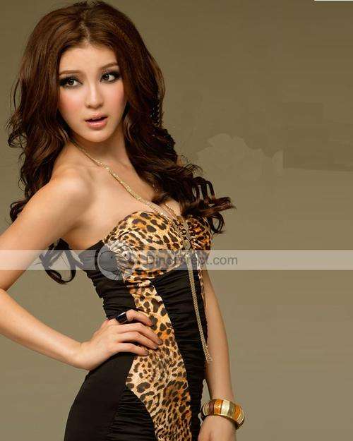 Leopard Print Mini Dress