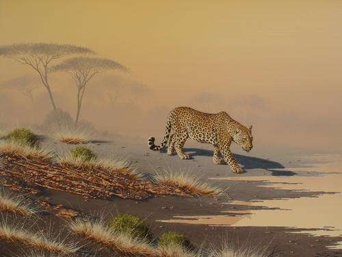 Brian Scott-Dawkins,Leopard.