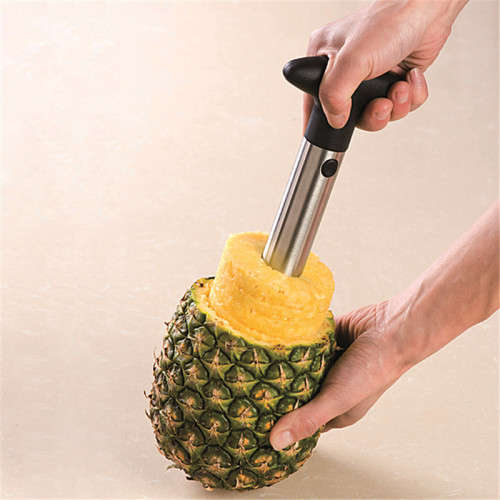 Pinapple Scourer/Slicer