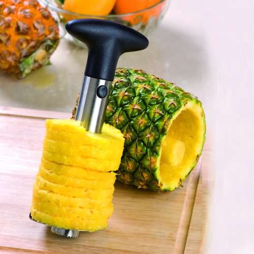 Pinapple Scourer/Slicer