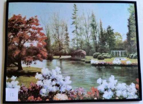 Stunning Decorative Prints - Size  38cm by 29cm - Framed and ready to be Hang