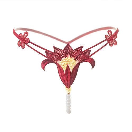 underwear g-string sexy panties