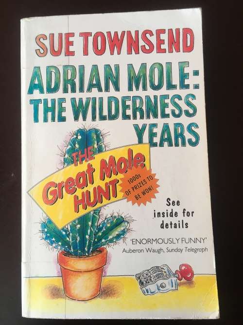 Adrian Mole: The Wilderness Years - Sue Townsend