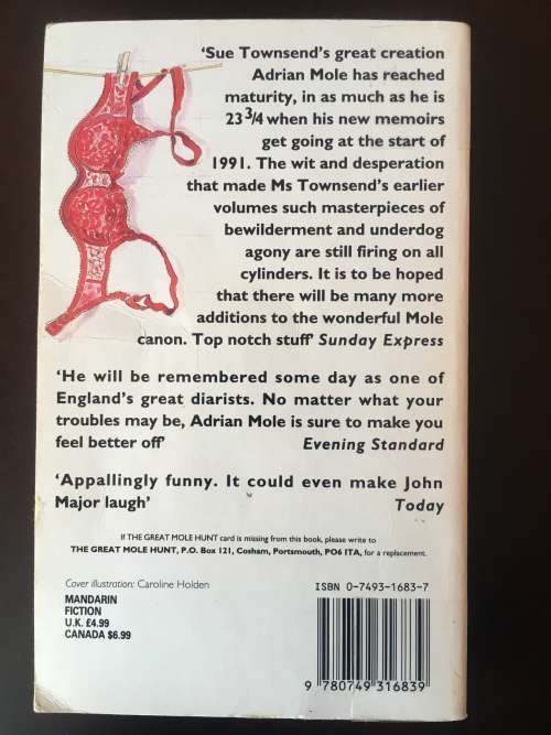 Adrian Mole: The Wilderness Years - Sue Townsend