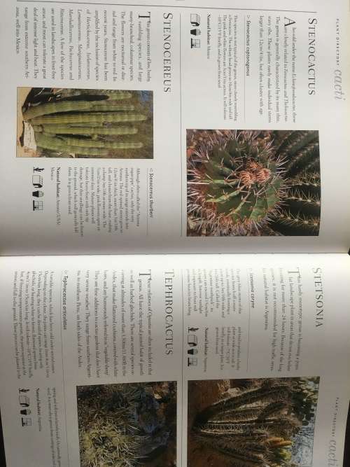 The Complete Illustrated Guide to Growing Cacti & Succulents - the Definitive Practical Reference
