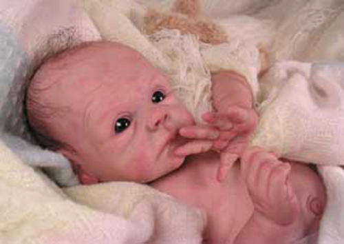 Joe Newborn kit