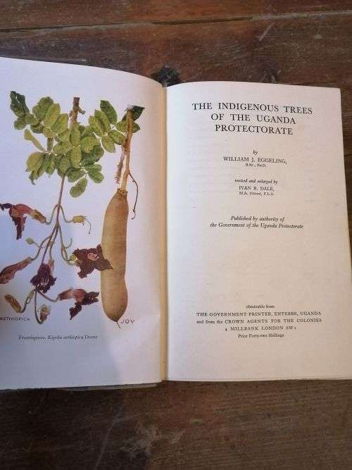 THE INDIGENOUS TREES OF THE UGANDA PROTECTORATE - William J Eggeling