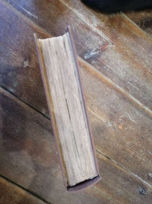 CAPE OF GOOD HOPE OFFICIAL HANDBOOK 1886 - Rebound beautifully