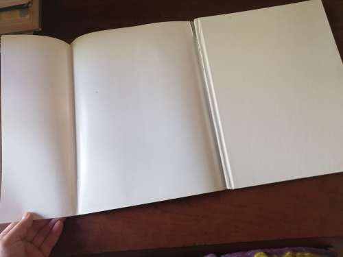 THE SPRINGBOK - JD Skinner and GN Louw *signed