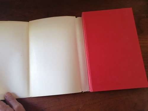 SHEPHERD OF LOVEDALE - GC Oosthuizen *signed