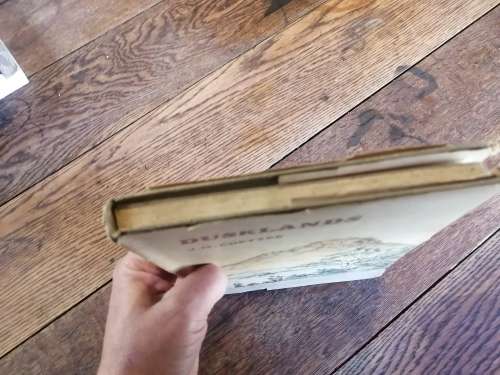 DUSKLANDS -  JM Coetzee *first edition