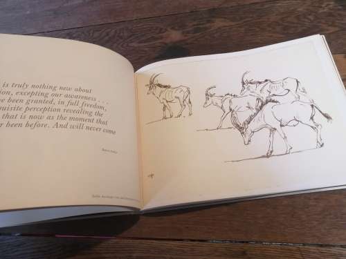 DRAWN FROM LIFE -  A Portfolio of Wildlife drawings by Zakkie Eloff