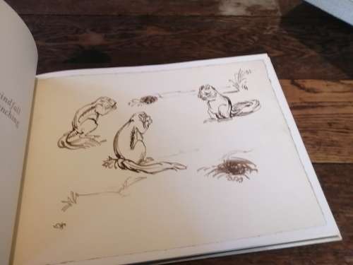 DRAWN FROM LIFE -  A Portfolio of Wildlife drawings by Zakkie Eloff