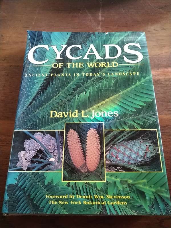 CYCADS OF THE WORLD: Ancient Plants in Today's Landscape - David L Jones
