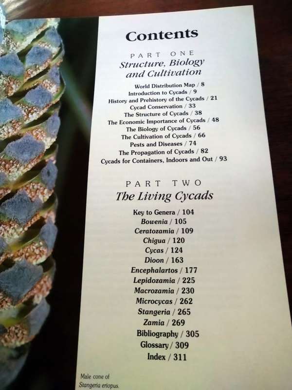 CYCADS OF THE WORLD: Ancient Plants in Today's Landscape - David L Jones