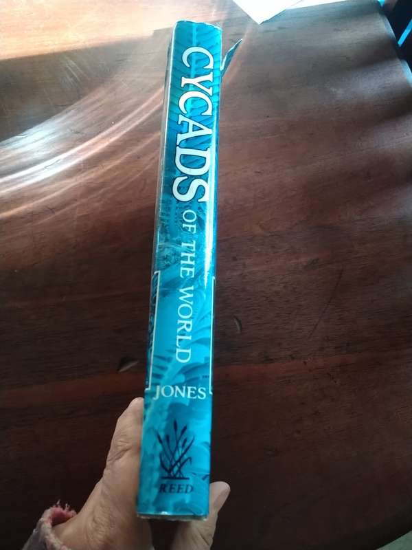 CYCADS OF THE WORLD: Ancient Plants in Today's Landscape - David L Jones