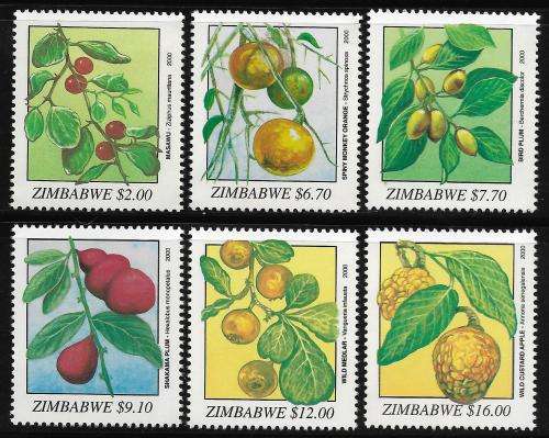Zimbabwe 2000 MNH Wild Fruits um