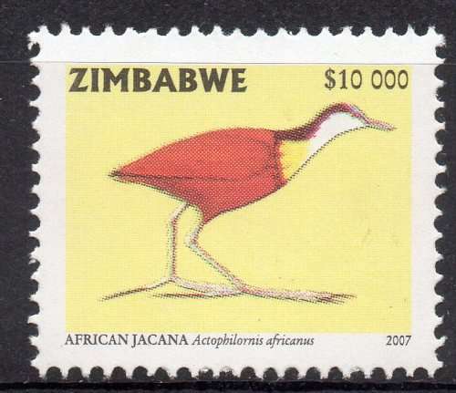 Zimbabwe 2007 MNH African Jacana um -  Birds