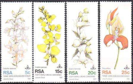 RSA um 1981 Orchids