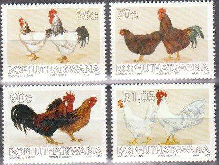 Bop / Bophuthatswana 1993 um Chicken Breeds