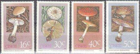 Ciskei um 1988 Poisonous Fungi / Mushrooms