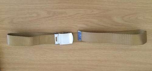 SADF Step Out Belt and Buckle