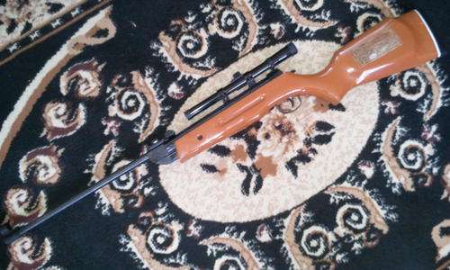 Air Rifle with Scope