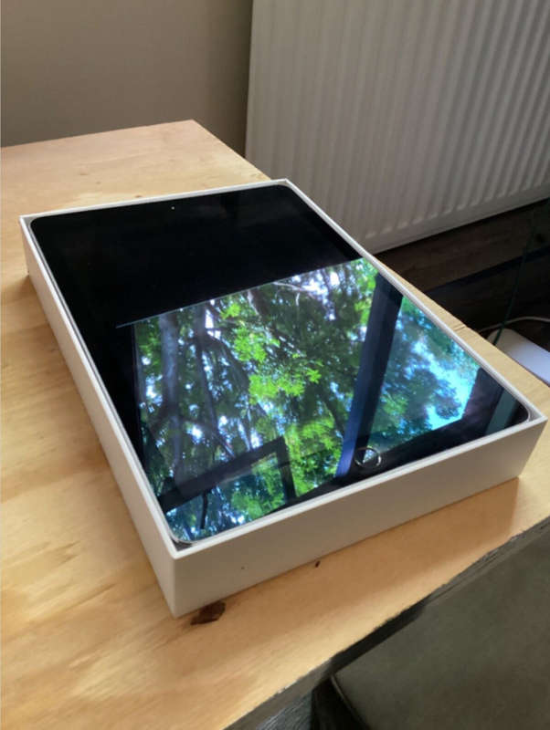 iPad Pro 9,7 (2016)