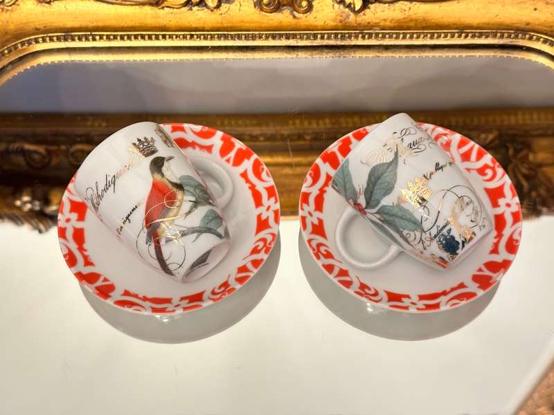 Beautiful Meckenheim Designer Espresso Cup Set