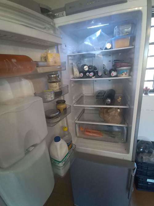 Samsung RL40WGPS1 Bottom Freezer Combi