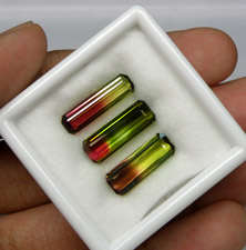 COLLECTORS  RARE TRUE WATERMELON TOURMALINE SET  (3 Pieces - 12.35 TCt)