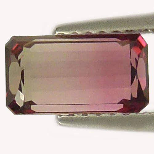 BEAUTIFUL WATERMELON TOURMALINE (1.78 Ct)