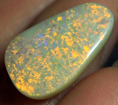 TOP SOLID LIGHTENING RIDGE  OPAL (Broadflash) 5.4Ct - 17.2 x 10.9mm